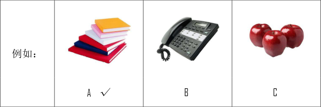 Ví dụ hoặc lựa chọn dùng chung